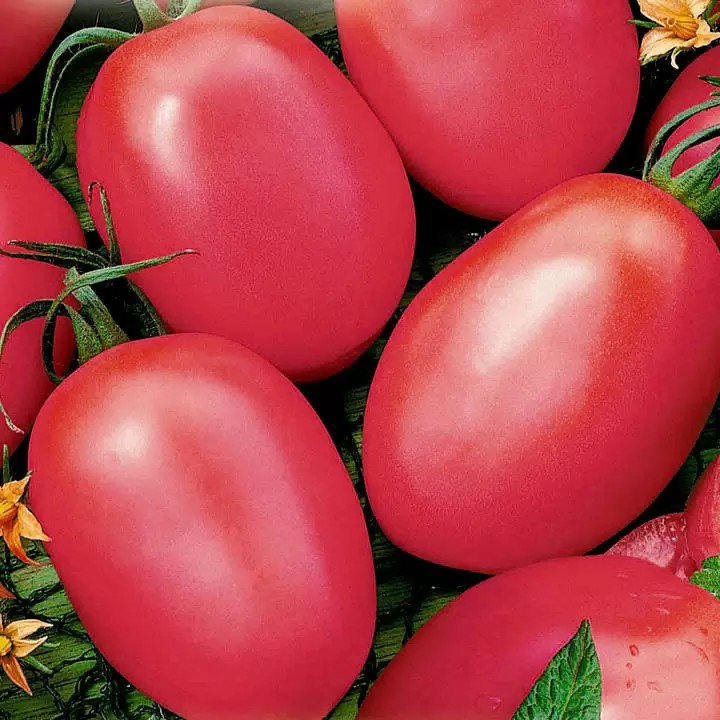 Томат Де Барао розовый